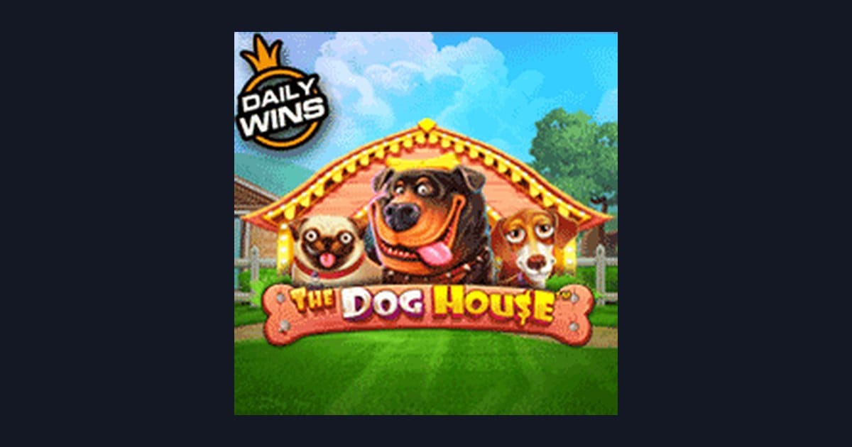 Panduan Bermain The Dog House dengan Tips Menang Buat Pemula